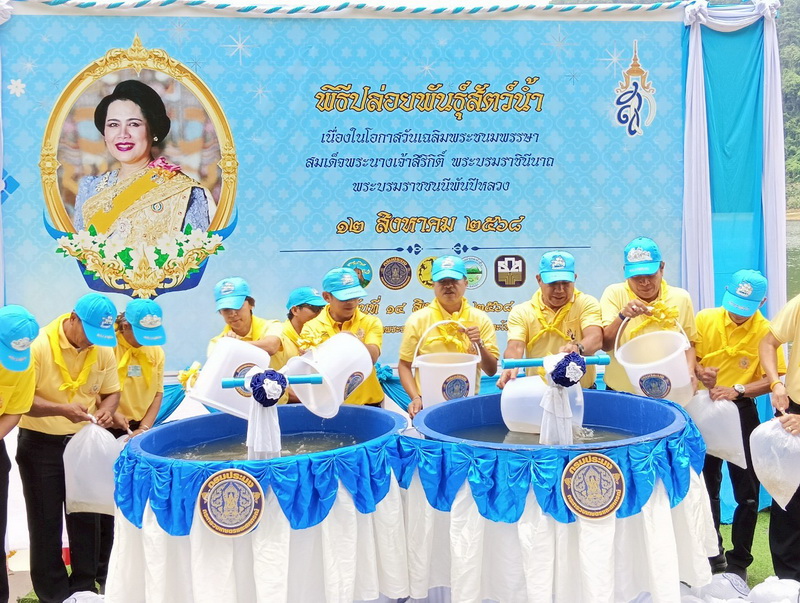 รูป ประกอบบทความ27