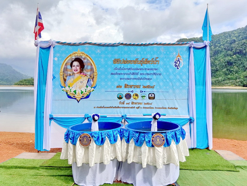 รูป ประกอบบทความ17