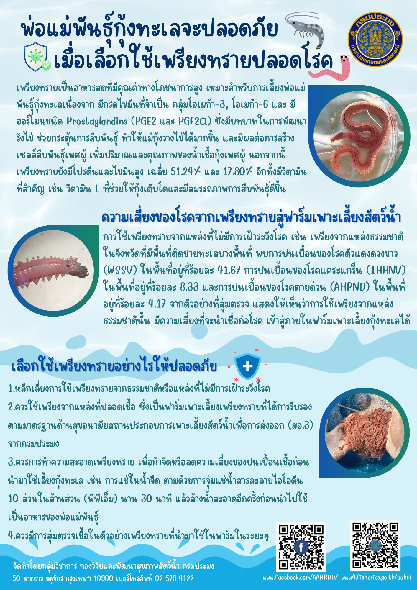 พ่อแม่พันธุ์กุ้งทะเลจะปลอดภัย เมื่อเลือกใช้เพรียงทรายปลอดโรค