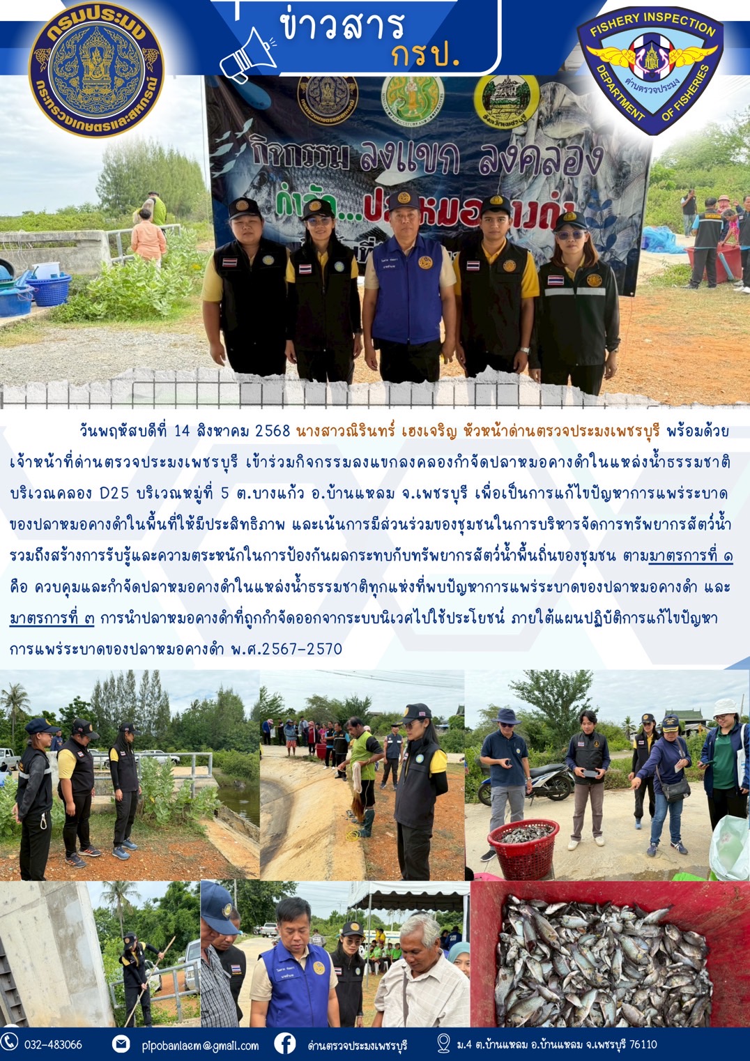 ลงแขกลงคลองกําจัดปลาหมอคางดําในพื้นที่จังหวัดเพชรบุรี..คลิก