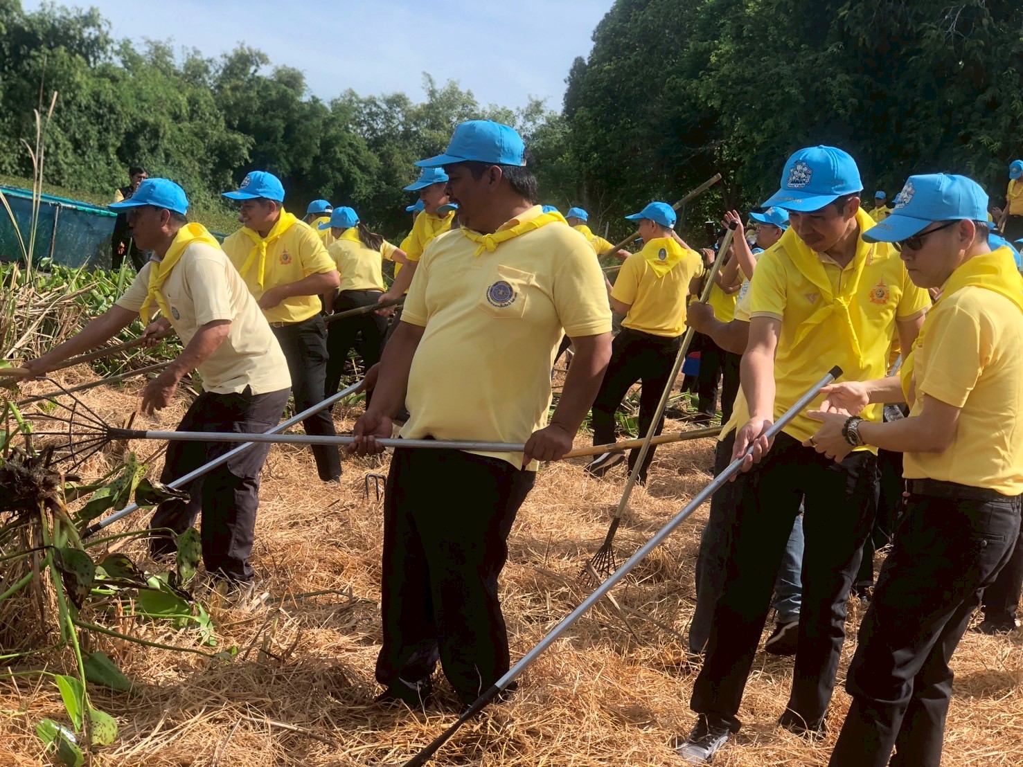 ร่วมกิจกรรมจิตอาสาบำเพ็ญสาธารณประโยชน์และบำเพ็ญสาธารณกุศล เฉลิมพระเกียรติสมเด็จพระนางเจ้าสิริกิติ์ พระบรมราชินีนาถ พระบรมราชชนนีพันปีหลวง เนื่องในโอกาสวันเฉลิมพระชนมพรรษา 12 สิงหาคม 2568..คลิก