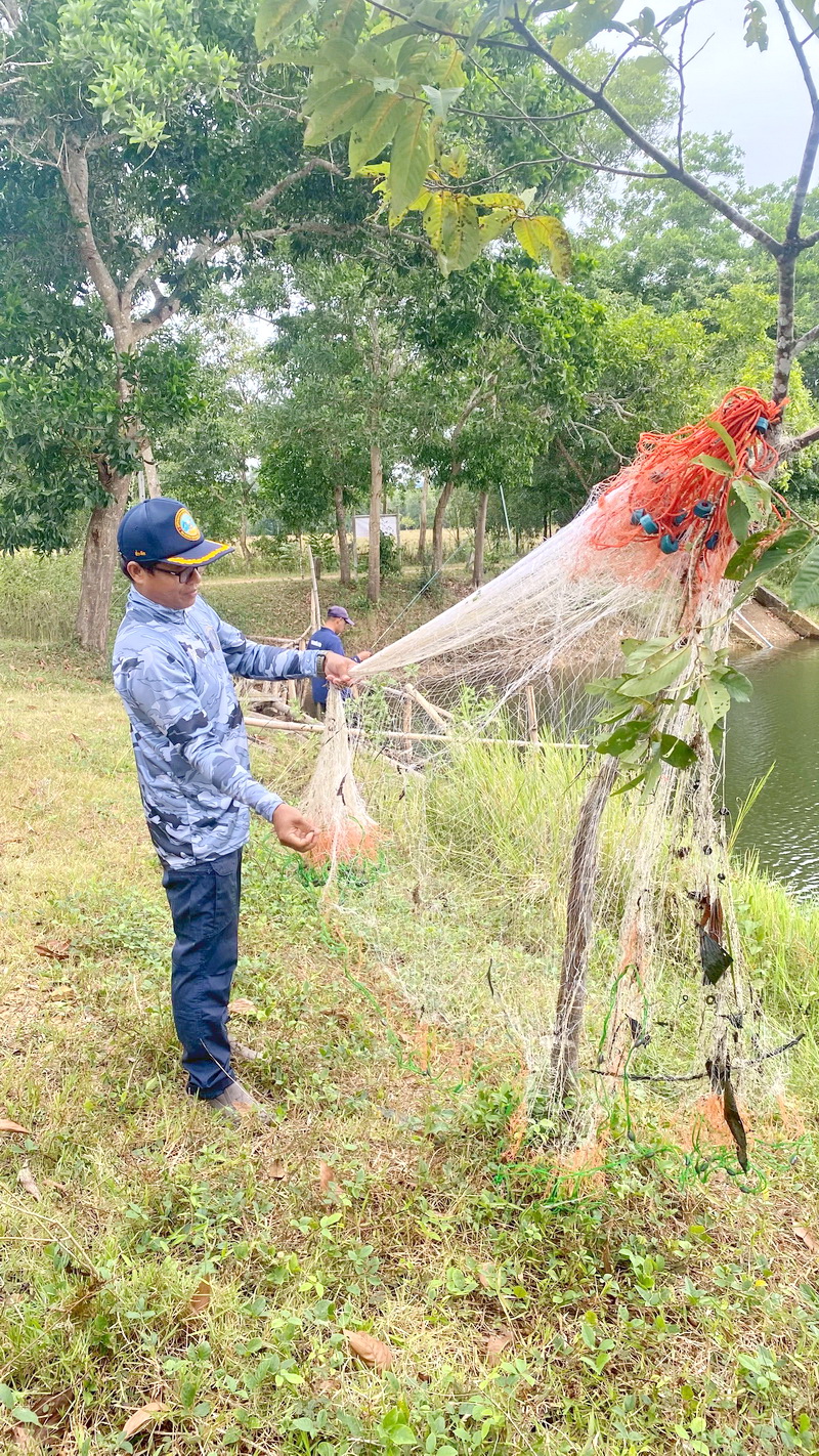 ร่วมปฏิบัติการตามล่าปลาหมอคางดำ ในพื้นที่อำเภอป่าพะยอม จังหวัดพัทลุง..คลิก