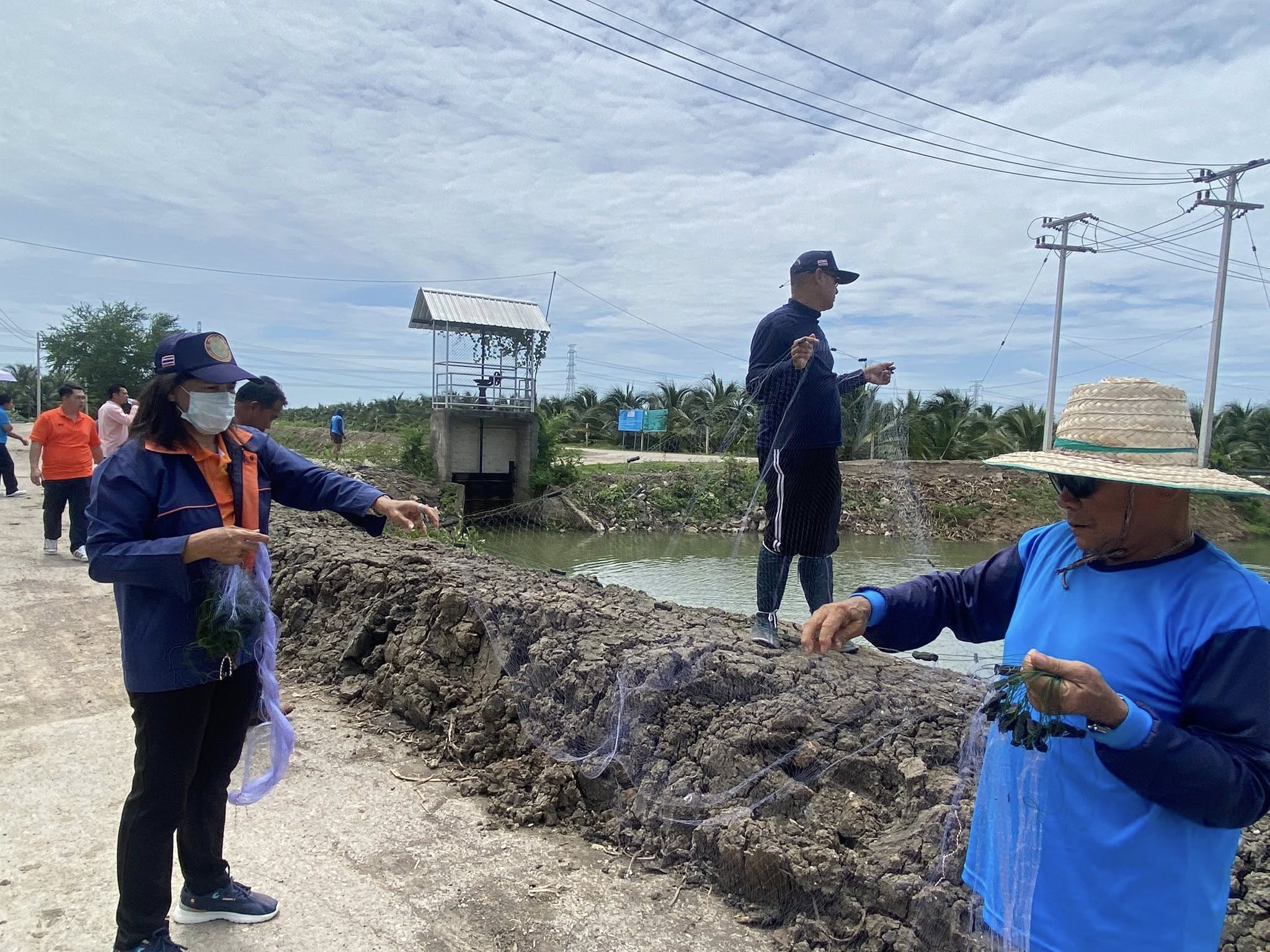 ร่วมทำกิจกรรมลงแขกลงคลองกำจัดปลาหมอคางดำ ตามแผนการแก้ไขปัญหาการแพร่ระบาดของปลาหมอคางดำจังหวัดราชบุรี..คลิก