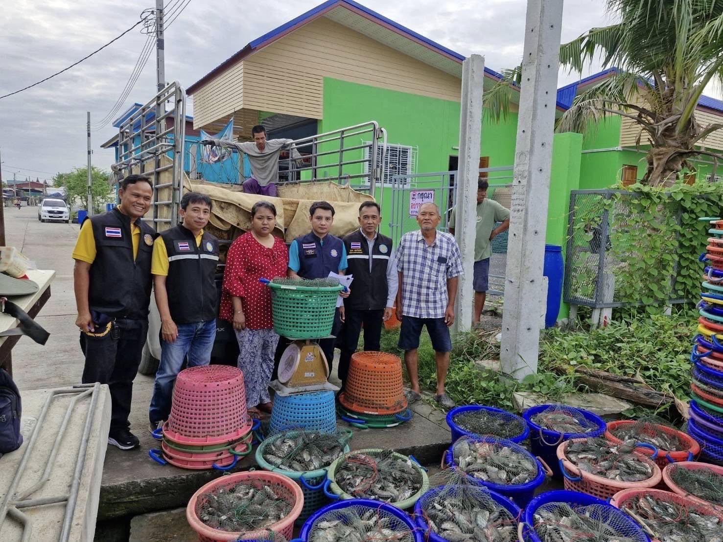 สำนักงานประมงพื้นที่กรุงเทพมหานคร ลงพื้นที่รับซื้อปลาหมอคางดำ ตามโครงการควบคุมและกำจัดประชากรปลาหมอคางดำ ปีงบประมาณ 2568