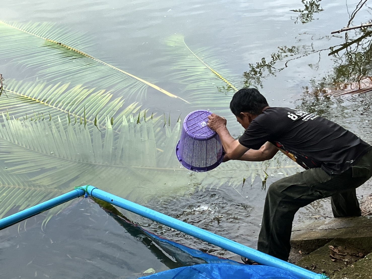 โครงการบริหารจัดการทรัพยากรประมงเพิ่มผลผลิตในแหล่งน้ำชุมชน เพื่อสร้างรายได้ และลดค่าครองชีพของประชาชน ปี พ.ศ.2568..คลิก