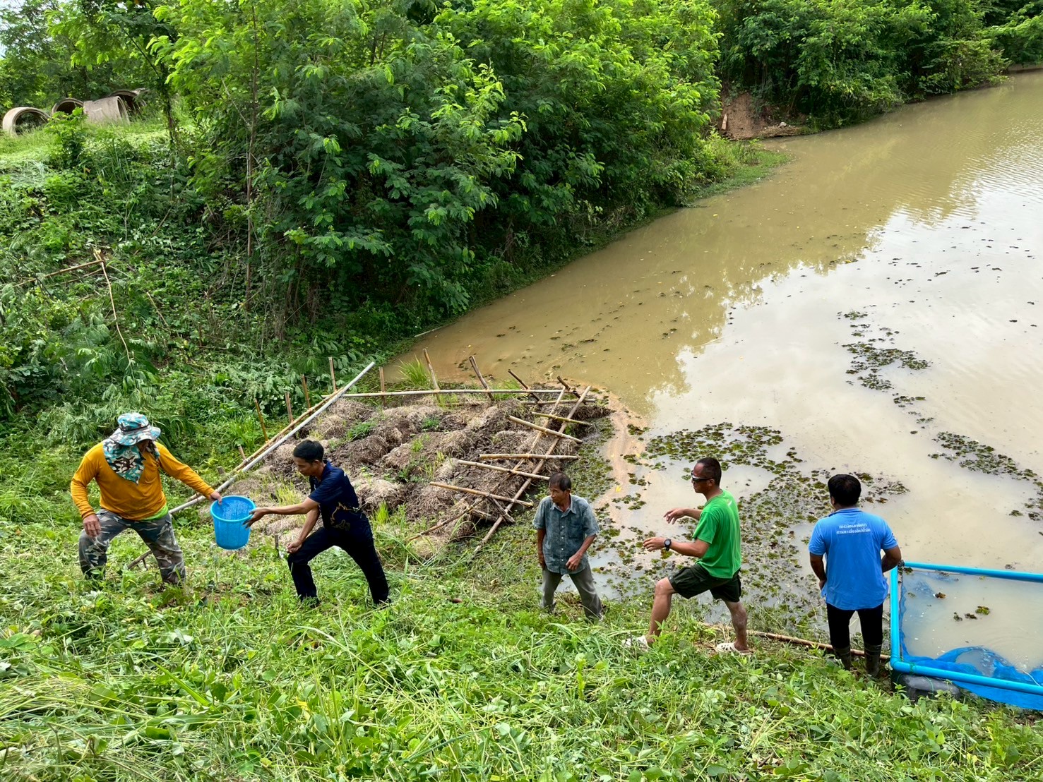 โครงการบริหารจัดการทรัพยากรประมงเพิ่มผลผลิตในแหล่งน้ำชุมชน เพื่อสร้างรายได้ และลดค่าครองชีพของประชาชน ปี พ.ศ.2568..คลิก