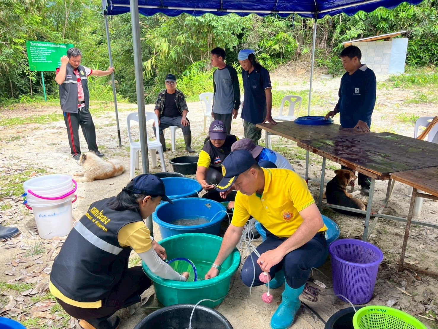โครงการบริหารจัดการทรัพยากรประมงเพิ่มผลผลิตในแหล่งน้ำชุมชน เพื่อสร้างรายได้ และลดค่าครองชีพของประชาชน ปี พ.ศ.2568