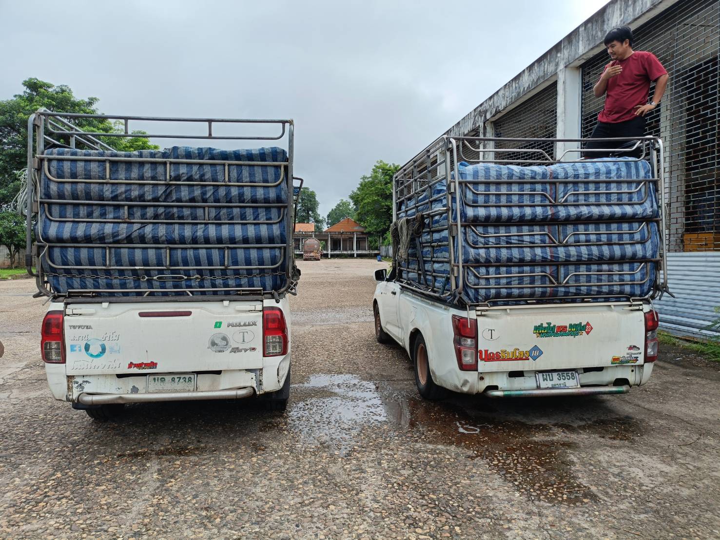 ข่าวกิจกรรม วันที่ 20 สิงหาคม 2568 เจ้าหน้าที่ สำนักงานตรวจประมงบึงกาฬ ด่านตรวจประมงนครพนม ตรวจสอบการส่งออกสินค้าประมง ณ ด่านพรมแดนศุลกากรบึงกาฬ จังหวัดบึงกาฬ..คลิก