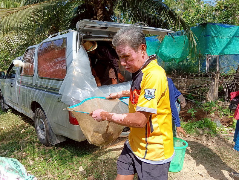 ร่วมปล่อยพันธุ์ปลา ลงสู่แหล่งน้ำห้วยตลิ่งชัน อ.ศรีบรรพต จ.พัทลุง..คลิก