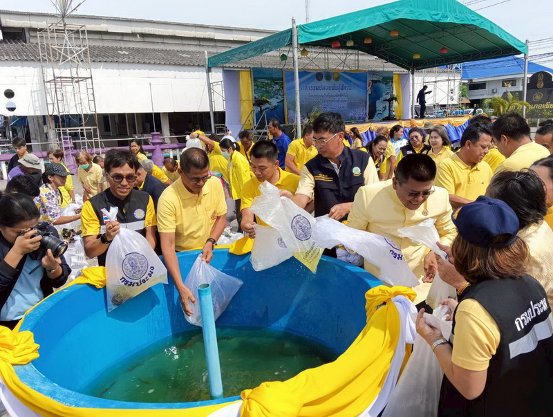 ร่วมปล่อยพันธุ์กุ้งก้ามกราม พื้นที่อำเภอเชียรใหญ่ จังหวัดนครศรีธรรมราช