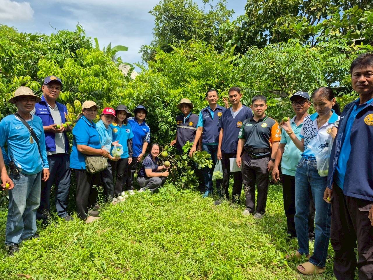 (อ.บางกรวย) โครงการ ความมั่นคงทางด้านอาหารขยายผล..คลิก