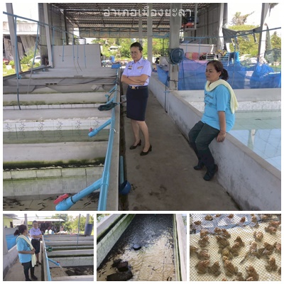 ผลการปฏิบัติงานประจำวันศุกร์ 22 สิงหาคม 2568..คลิก