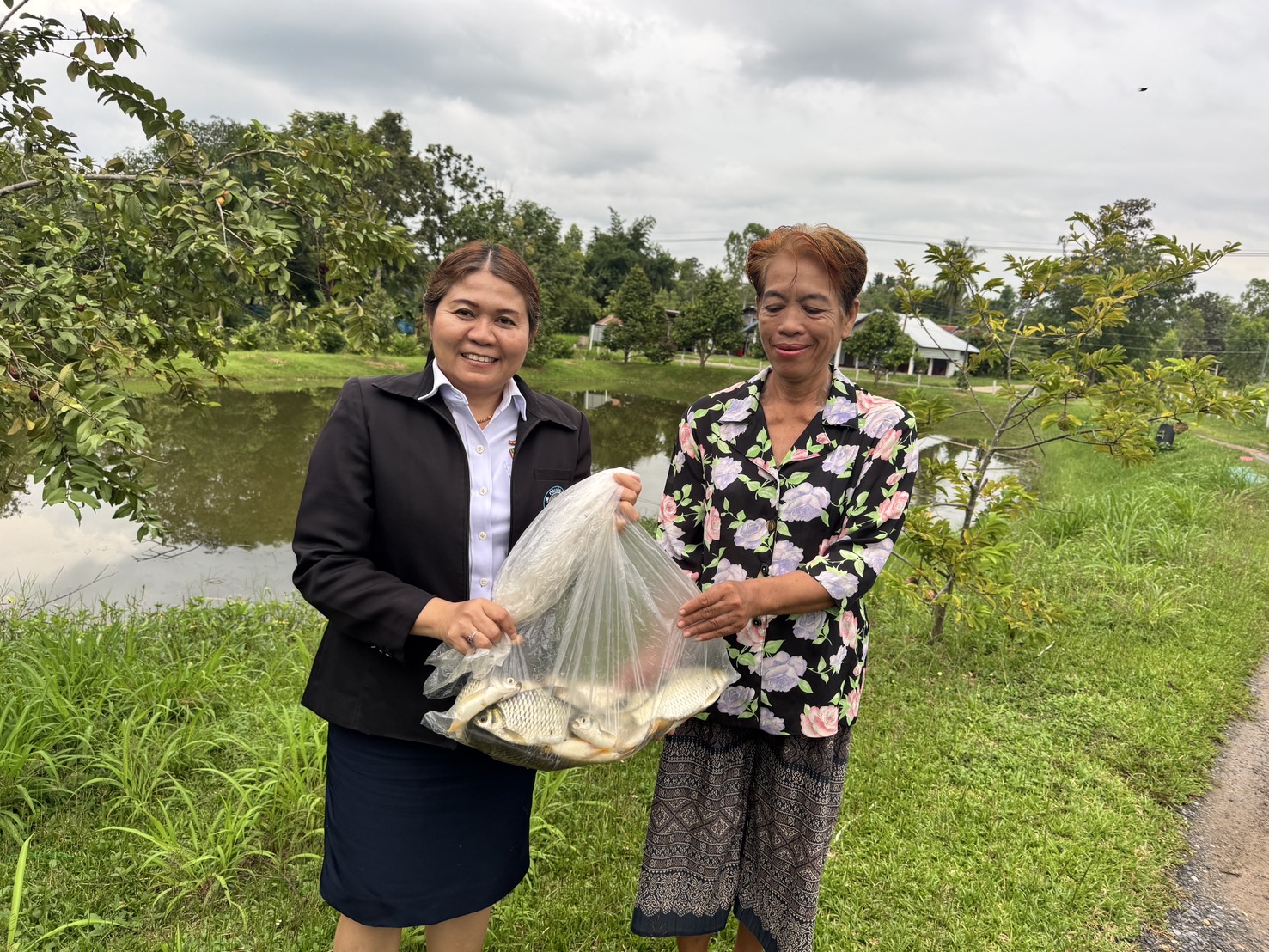 ประมงอำเภอสิรินธร ดำเนินงานโครงการพัฒนาอาชีพการเพาะเลี้ยงปลาตะเพียนขาวในบ่อดิน งบกลุ่มจังหวัดภาคตะวันออกเฉียงเหนือตอนล่าง 2 ประจำปีงบประมาณ 2568