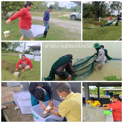 ผลการปฏิบัติงานประจำวันจันทร์ 