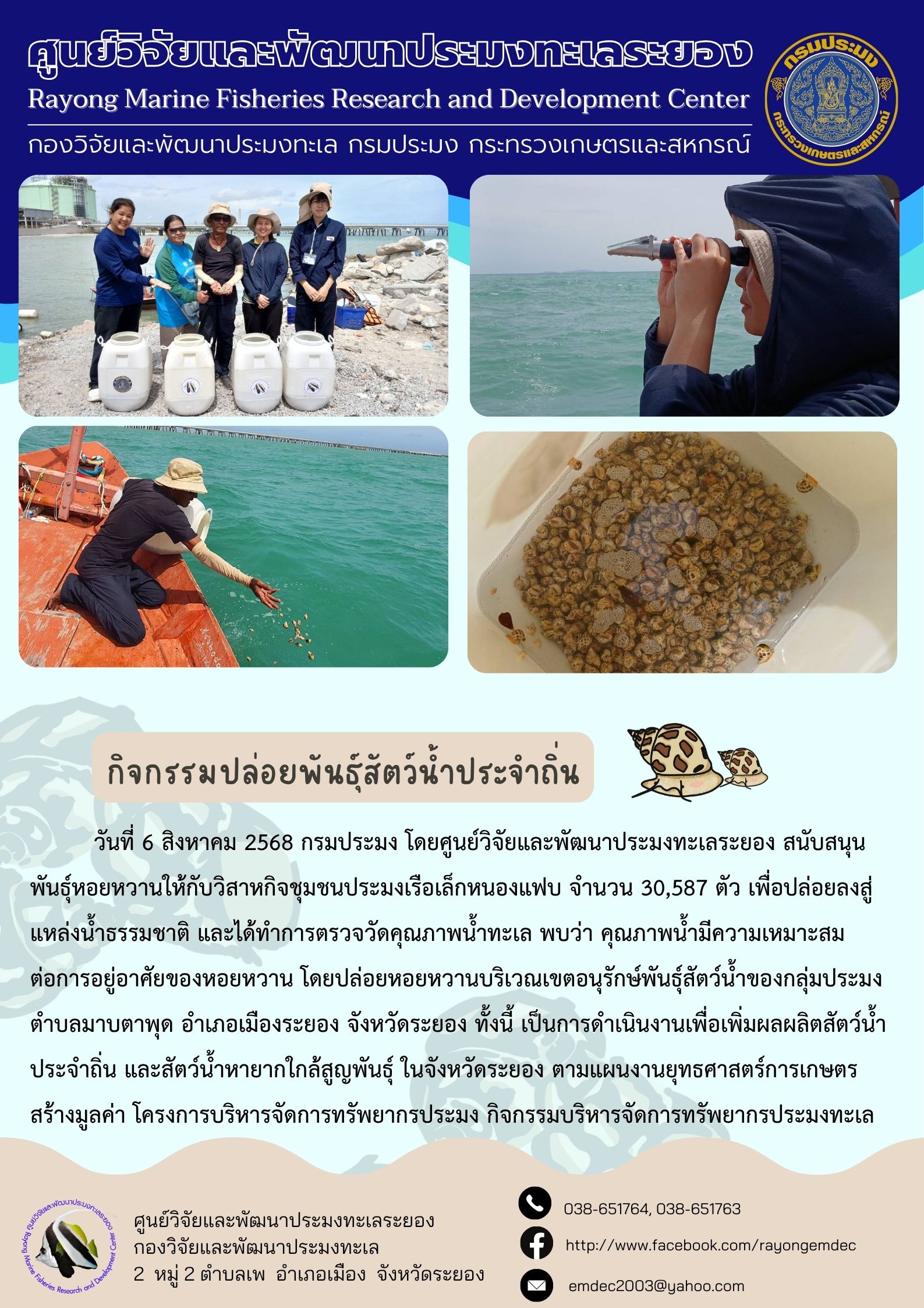 วันที่ 6 สิงหาคม 2568 กรมประมง โดยศูนย์วิจัยและพัฒนาประมงทะเลระยอง สนับสนุน พันธุ์หอยหวานให้กับวิสาหกิจชุมชนประมงเรือเล็กหนองแฟบ จำนวน 30,587 ตัว เพื่อปล่อยลงสู่แหล่งน้ำธรรมชาติ และได้ทำการตรวจวัดคุณภาพน้ำทะเล พบว่า คุณภาพน้ำมีความเหมาะสม ต่อการอยู่อาศัยของหอยหวาน ฯลฯ..คลิก