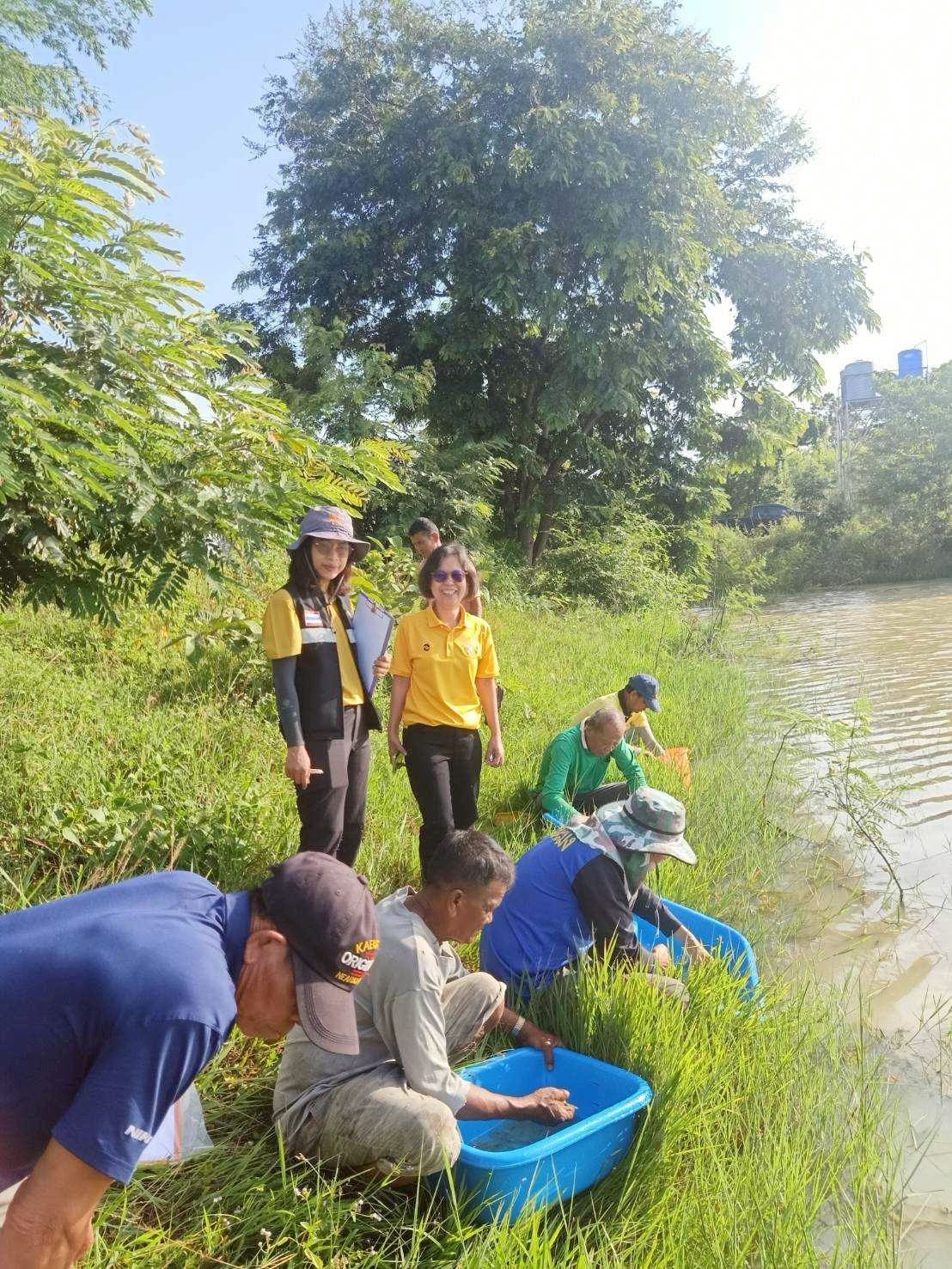 ร่วมปล่อยพันธุ์กุ้งก้ามกราม ขนาด 5-7 เซนติเมตร ลงสู่แหล่งน้ำ