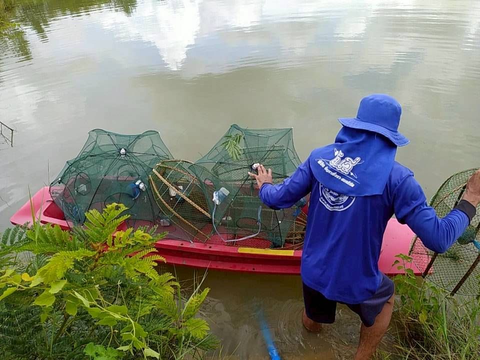 สุ่มประเมินการเติบโตของกุ้งก้ามกราม (สุ่มวัดความยาวและชั่งน้ำหนักกุ้งก้ามกราม)..คลิก