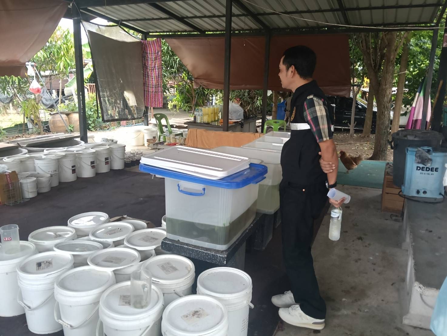 (อ.บางบัวทอง) ตรวจสถานที่ในการขออนุญาตเล่นการพนันกัดปลา..คลิก