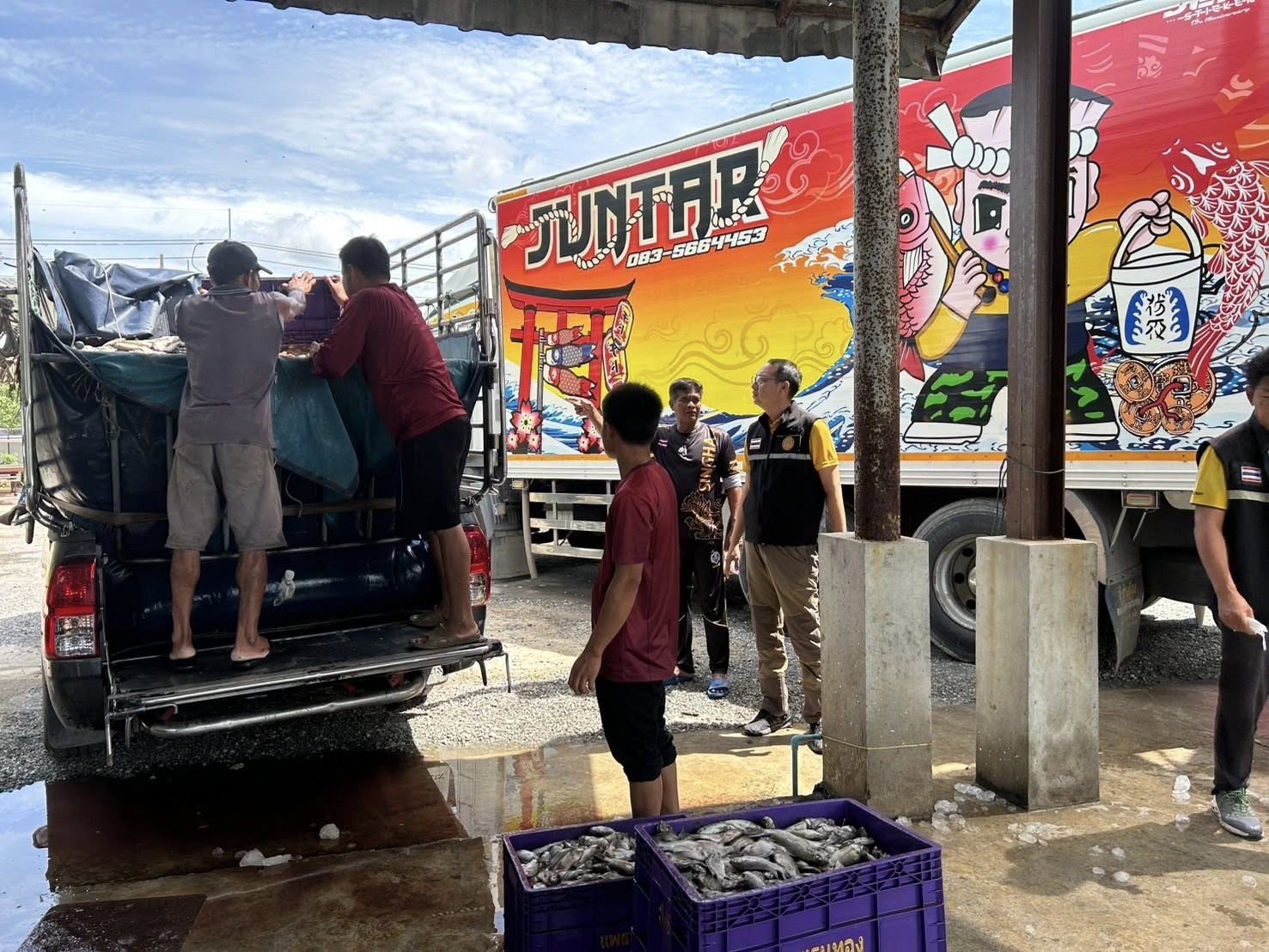 สำนักงานประมงพื้นที่กรุงเทพมหานครลงพื้นที่รับซื้อปลาหมอคางดำ เฟส 2 เขตบางขุนเทียน กรุงเทพมหานคร