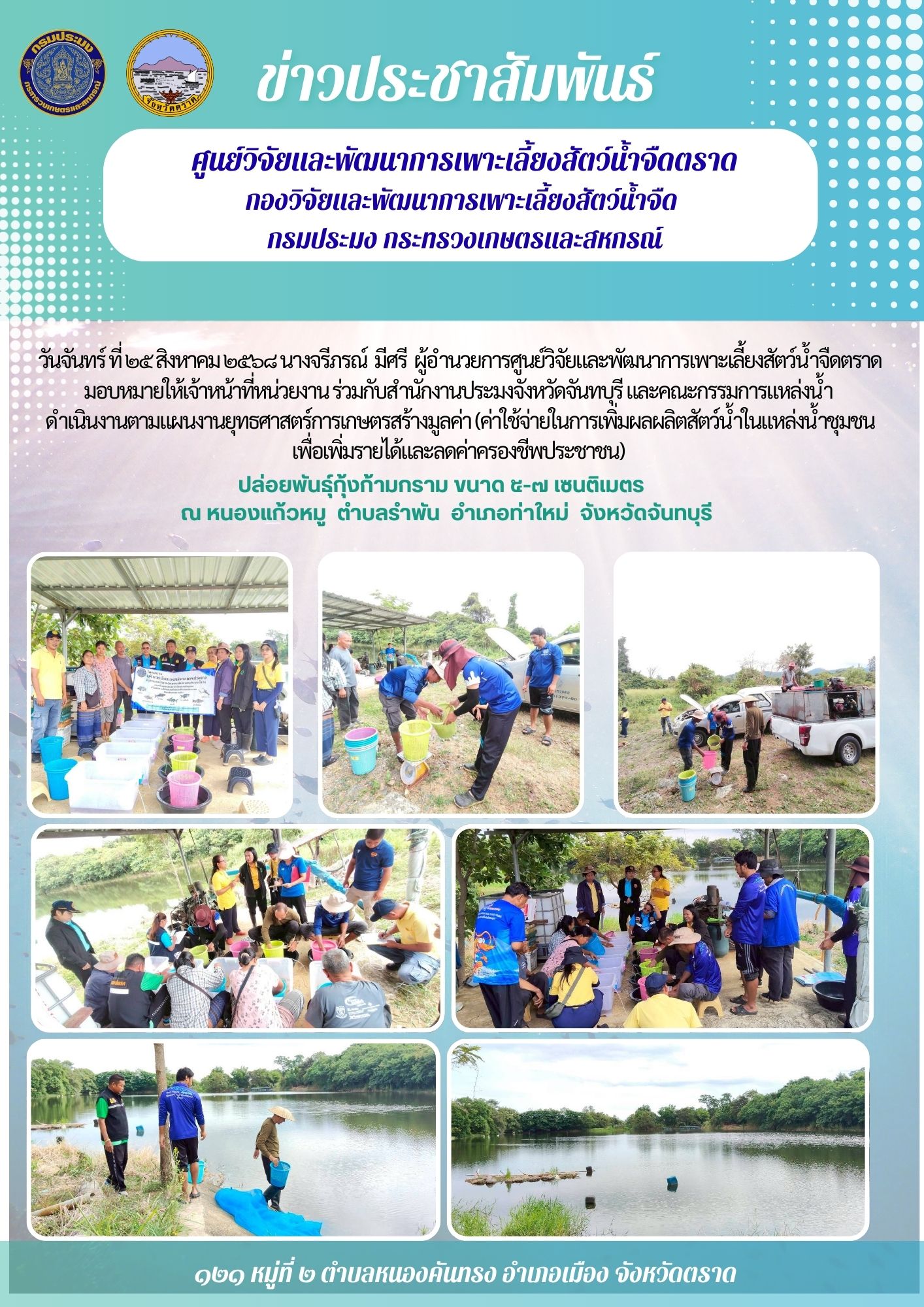 ปล่อยพันธุ์กุ้งก้ามกราม ขนาด ๕-๗ เซนติเมตร