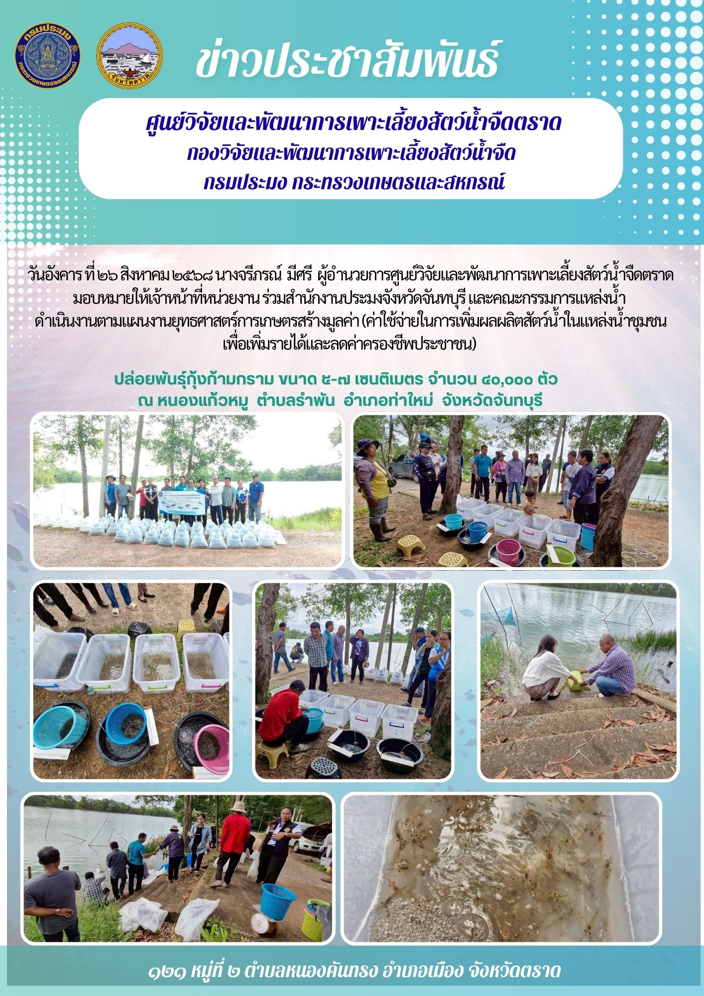 ปล่อยพันธุ์กุ้งก้ามกราม ขนาด ๕-๗ เซนติเมตร