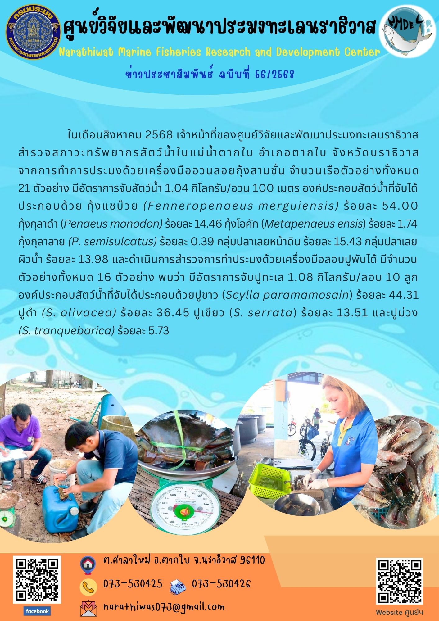 ในเดือนสิงหาคม 2568 เจ้าหน้าที่ของศูนย์วิจัยและพัฒนาประมงทะเลนราธิวาส..คลิก