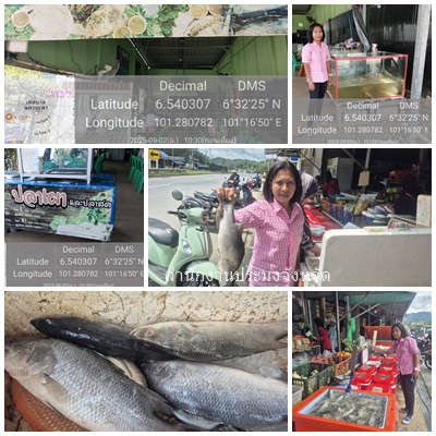 ผลการปฏิบัติงานประจำวันอังคาร 2 กันยายน 2568..คลิก