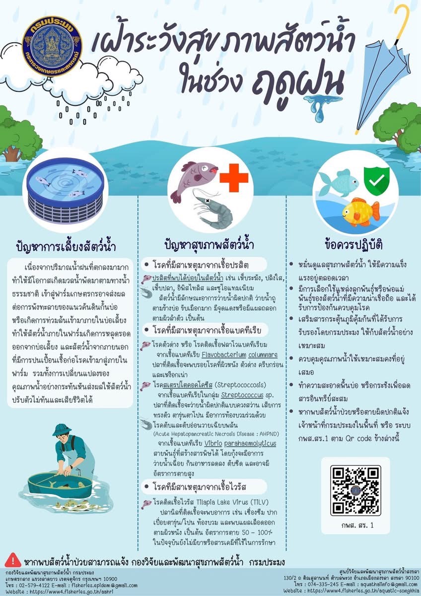 กรมประมง แจ้งเตือนเกษตรกร เฝ้าระวังและพร้อมรับการเพาะเลี้ยงสัตว์น้ำในช่วงฤดูฝน ตามแผนรับมือสถานการณ์อุทกภัย ปี 2568..คลิก