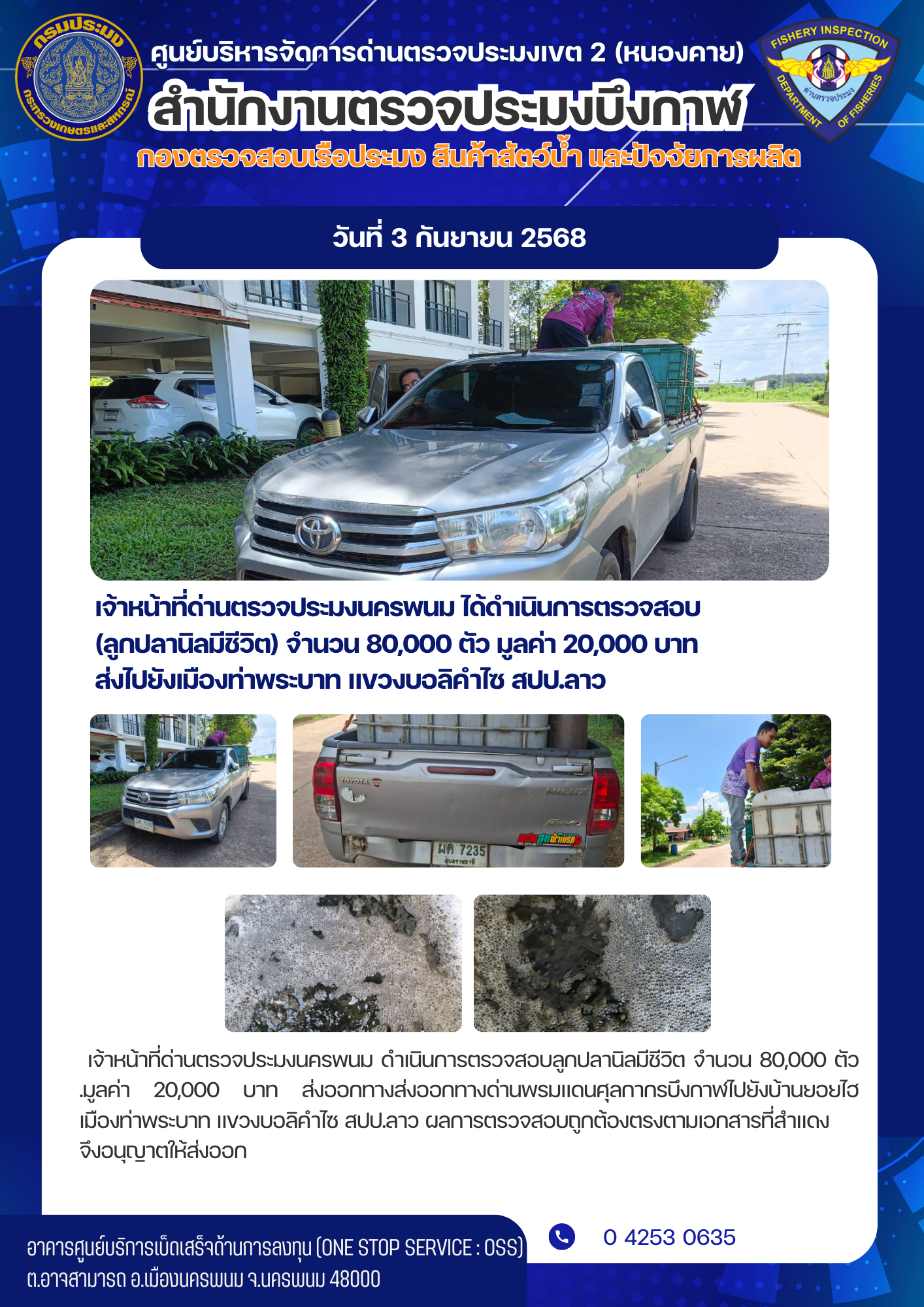 ข่าวกิจกรรมการดำเนินงาน : วันที่ 3 กันยายน 2568 เจ้าหน้าที่ด่านตรวจประมงนครพนม ได้ดำเนินการตรวจสอบ  (ลูกปลานิลมีชีวิต) จำนวน 80,000 ตัว มูลค่า 20,000 บาท  ส่งไปยังเมืองท่าพระบาท แขวงบอลิคำไซ สปป.ลาว..คลิก