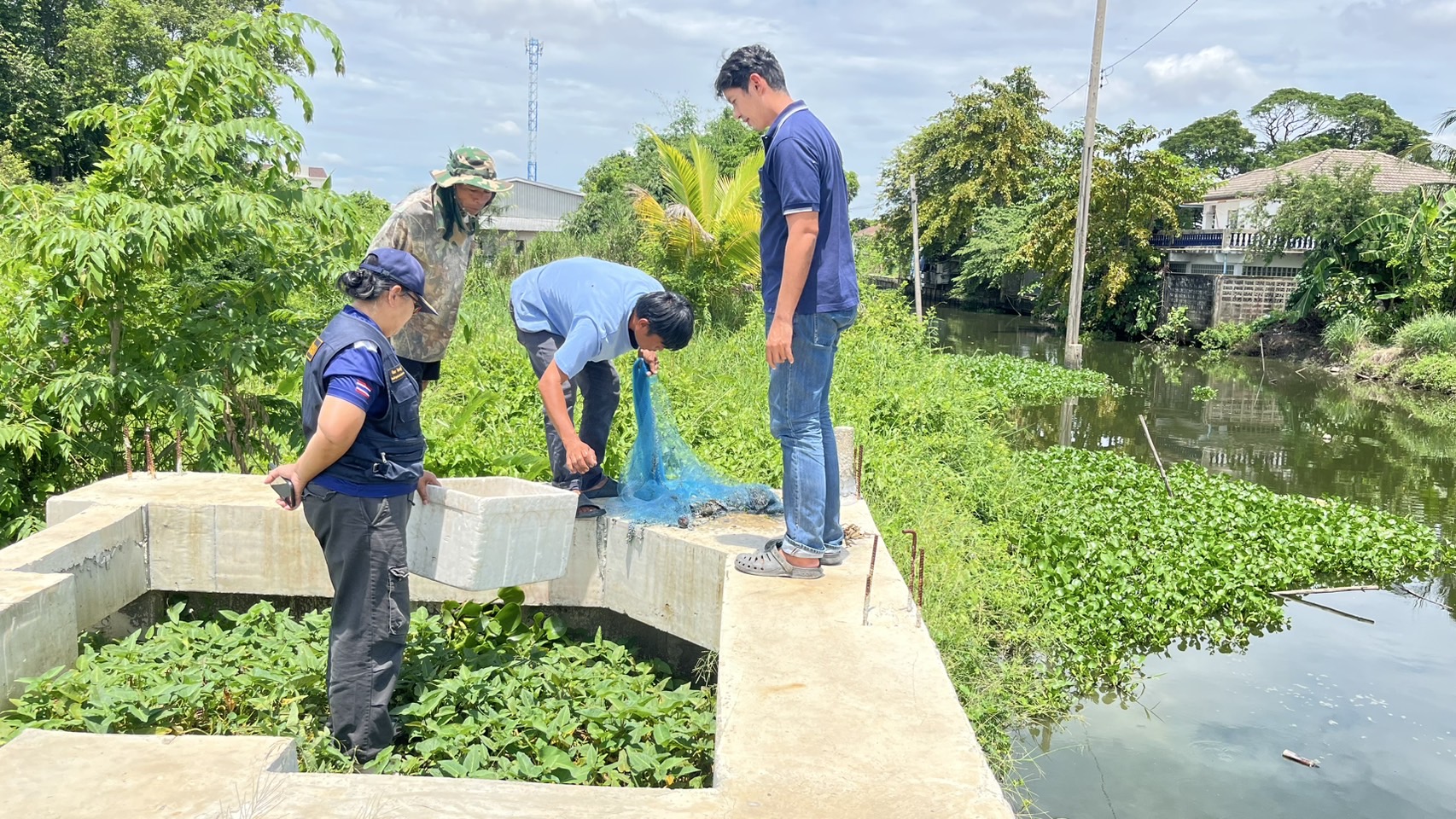 (อ.บางใหญ่) สำรวจและเฝ้าระวังการแพร่กระจายของปลาหมอคางดำตามมาตรการที่ 4