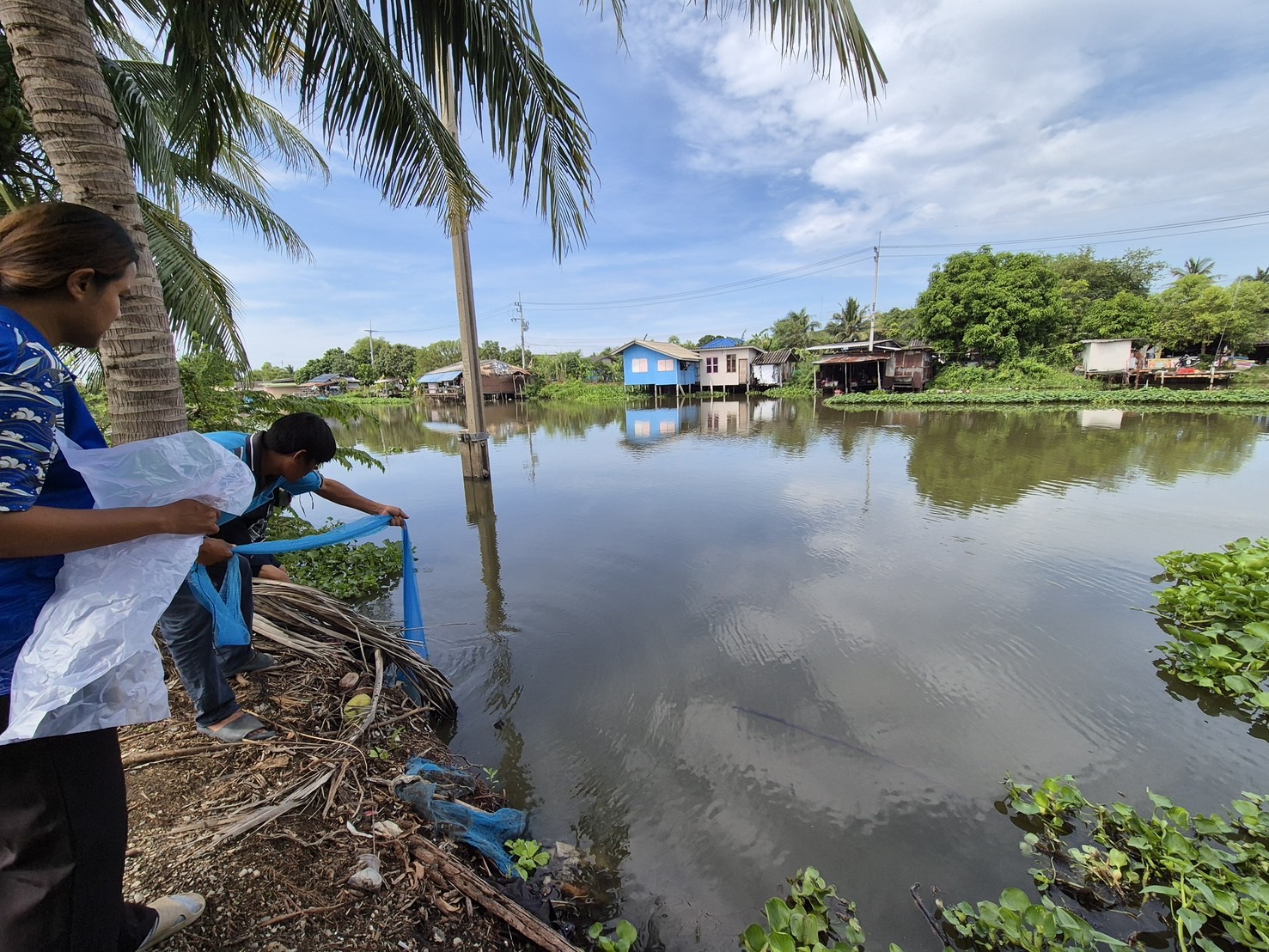 (อ.บางกรวย) สำรวจปลาหมอคางดำ ตามแผนการแก้ไขปัญหาการแพร่ระบาดของปลาหมอคางดำจังหวัดนนทบุรี..คลิก
