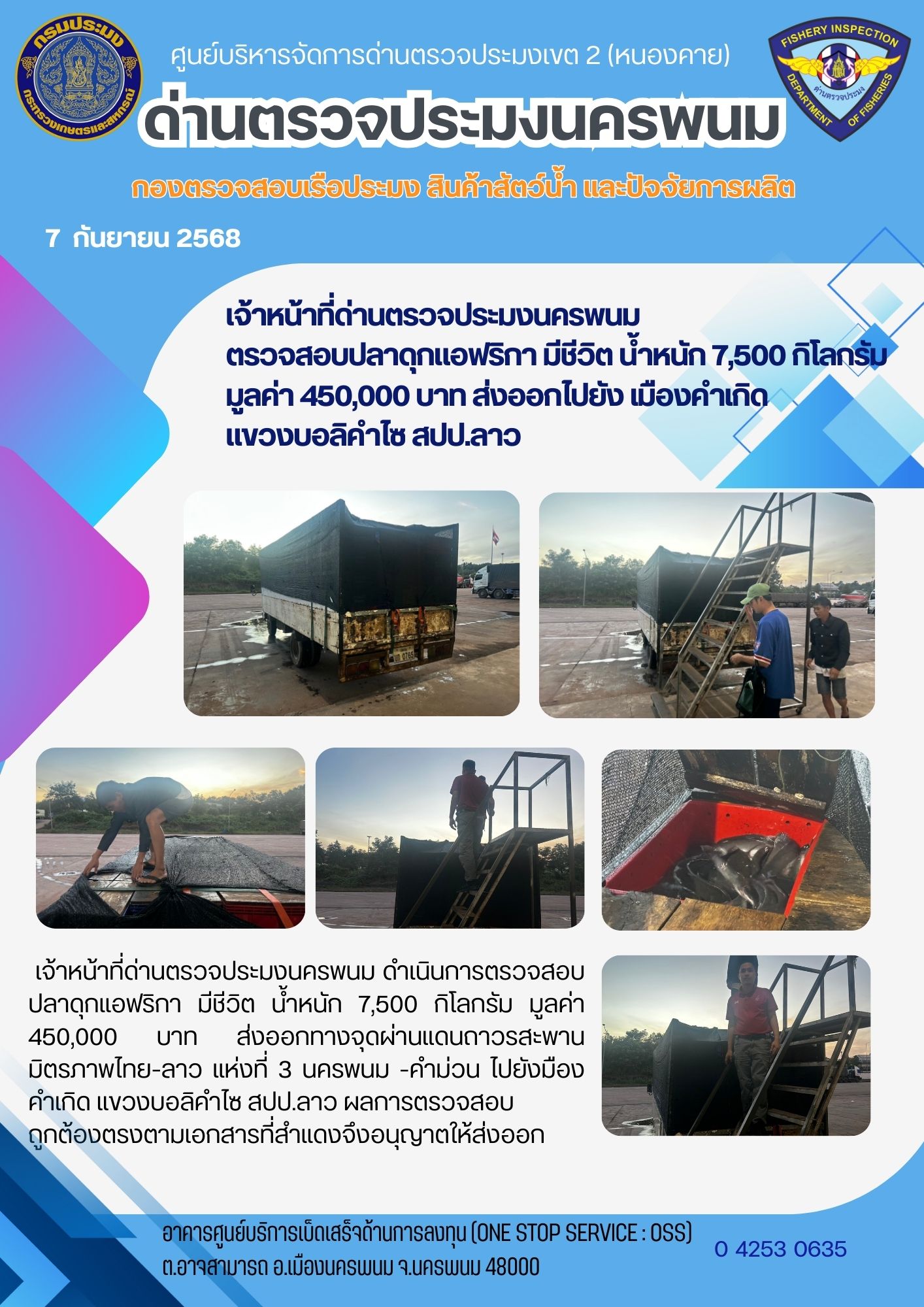 ข่าวกิจกรรมการดำเนินงาน : วันที่ 7 กันยายน 2568 เจ้าหน้าที่ด่านตรวจประมงนครพนม ตรวจสอบปลาดุกแอฟริกา มีชีวิต น้ำหนัก 7,500 กิโลกรัม  มูลค่า 450,000 บาท ส่งออกไปยัง เมืองคำเกิด  แขวงบอลิคำไซ สปป.ลาว
