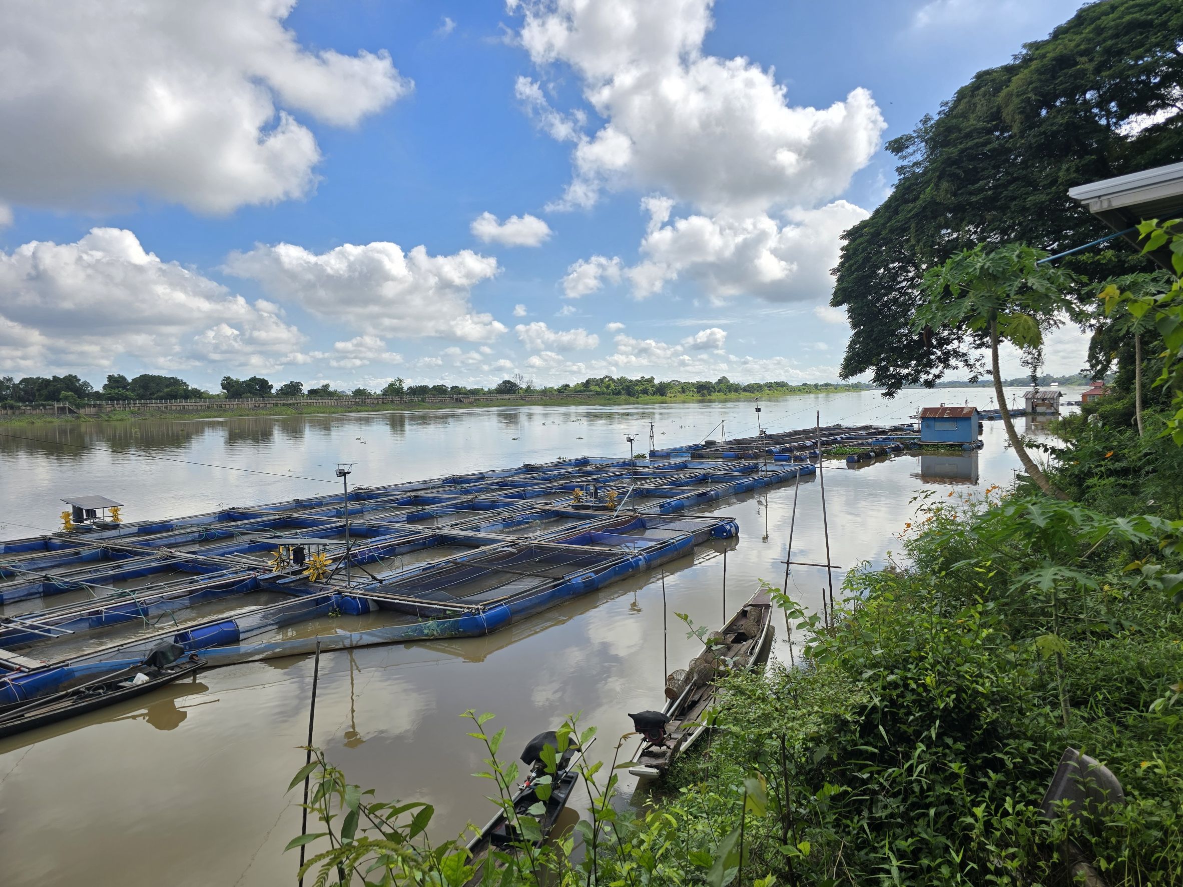 ประมงอำเภอวารินชำราบ ลงพื้นที่ติดตาม สอบถาม สถานการณ์น้ำในแม่น้ำมูล ที่จะส่งผลกระทบต่อการเพาะเลี้ยงสัตว์น้ำของเกษตรกรผู้เพาะเลี้ยงสัตว์น้ำ ในพืนที่อำเภอวารินชำราบ