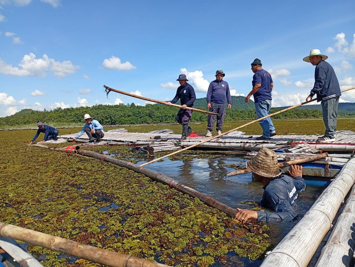ร่วมกันจัดเตรียมสถานที่ปล่อยพันธุ์สัตว์น้ำเนื่องในวันประมงแห่งชาติ ประจำปี 2568 ซึ่งจะจัดในวันที่ 16 กันยายน 2568..คลิก