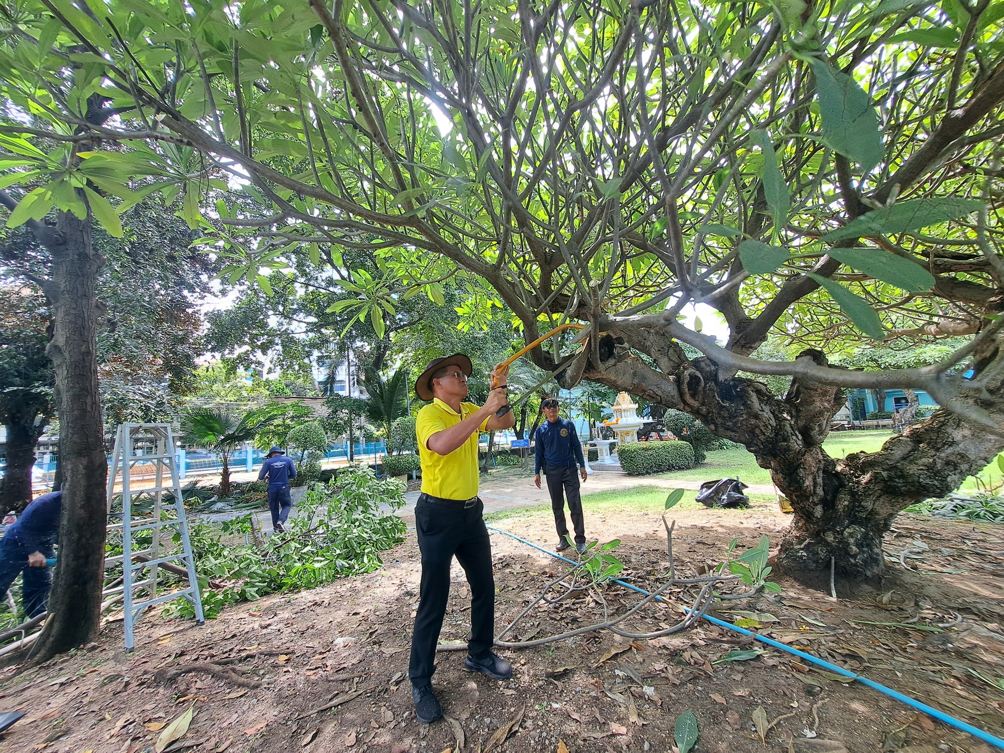 กรมประมง จัดกิจกรรม Big Cleaning Day สร้างสภาพแวดล้อมที่ดีในที่ทำงาน