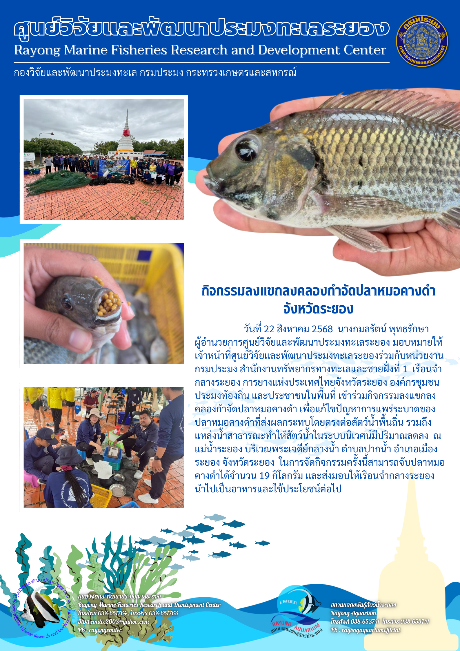 วันที่ 22 สิงหาคม 2568 นางกมลรัตน์ พุทธรักษา ผู้อำนวยการศูนย์วิจัยและพัฒนาประมงทะเลระยอง มอบหมายให้เจ้าหน้าที่ศูนย์วิจัยและพัฒนาประมงทะเลระยองร่วมกับหน่วยงานกรมประมง สำนักงานทรัพยากรทางทะเลและชายฝั่งที่ 1 เรือนจำกลางระยอง ฯลฯ..คลิก