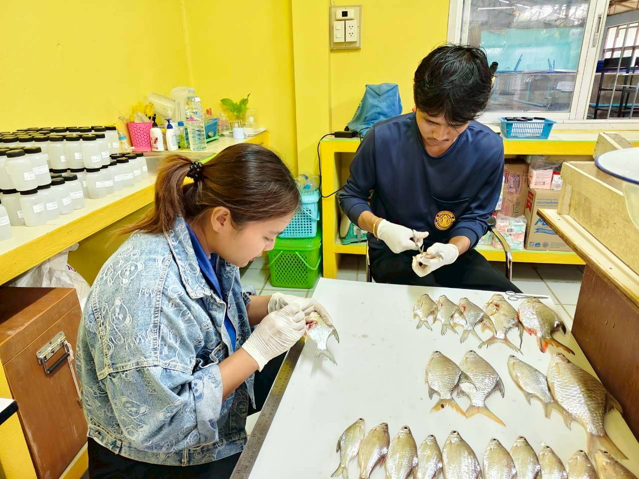 โครงการบริหารจัดการทรัพยากรประมง