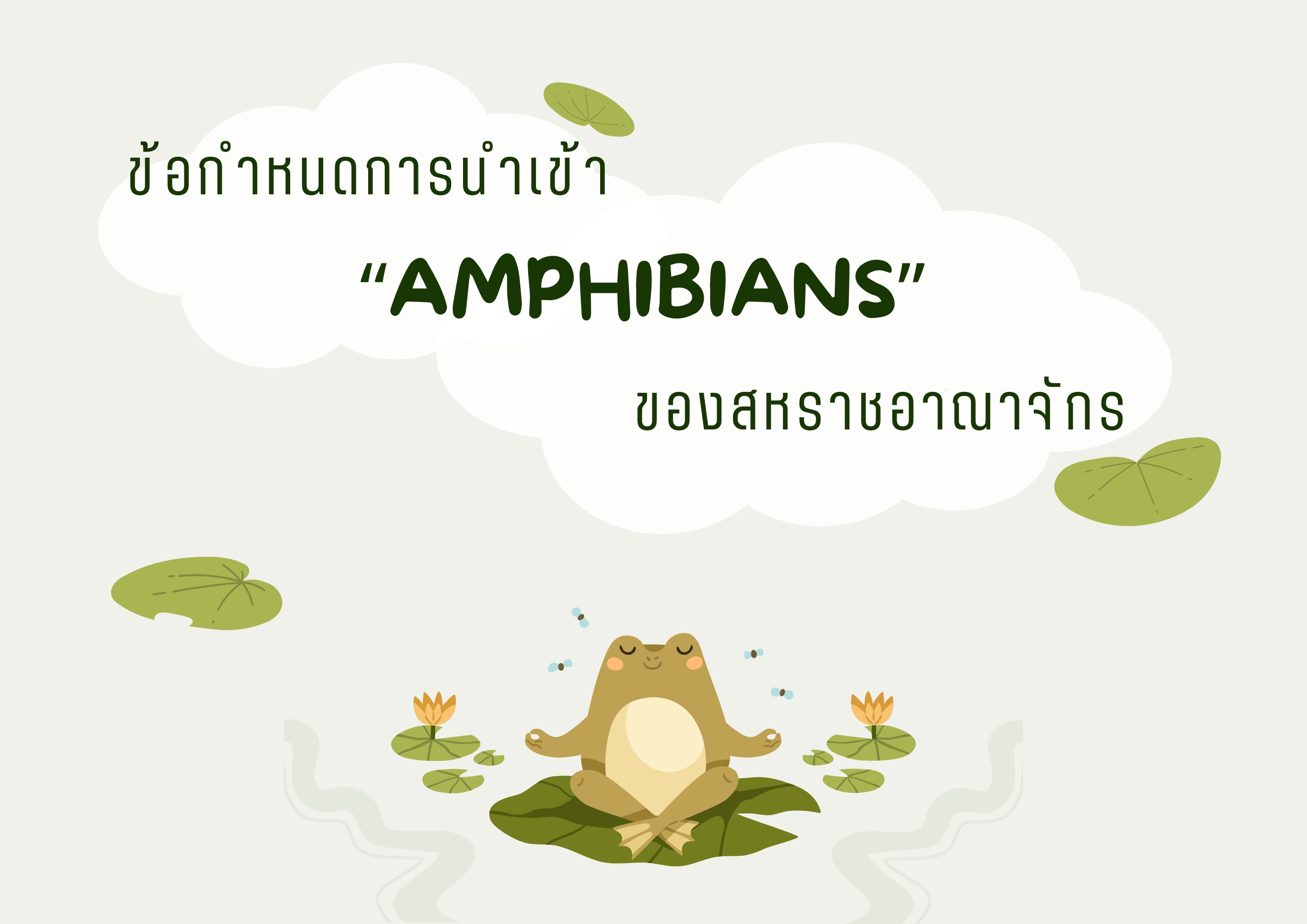 ข้อกำหนดสำหรับการส่งออกสัตว์กลุ่มสัตว์สะเทินน้ำสะเทินบก (Amphibians)  ไปยังสหราชอาณาจักร (ยกเว้น Salamanders)..คลิก