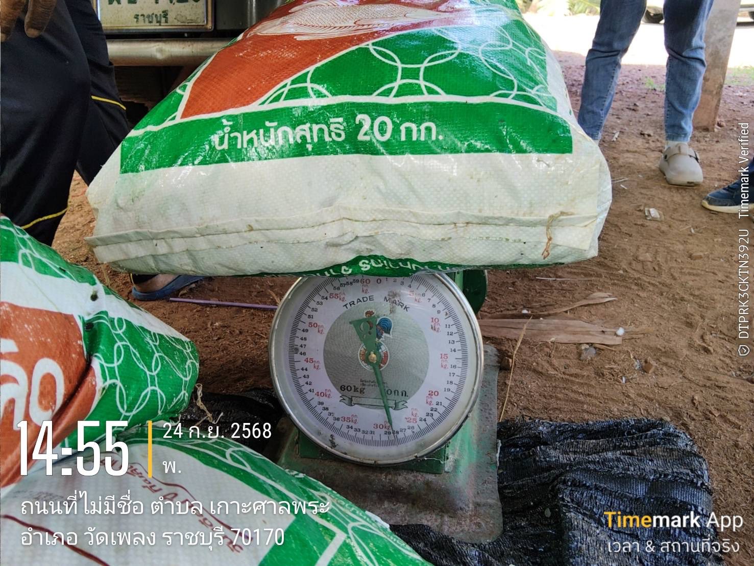 ลงพื้นที่ตรวจความถูกต้องและลงนามรับรองความถูกต้อง ของแบบฟอร์มสรุปปริมาณปลาหมอคางดำ..คลิก