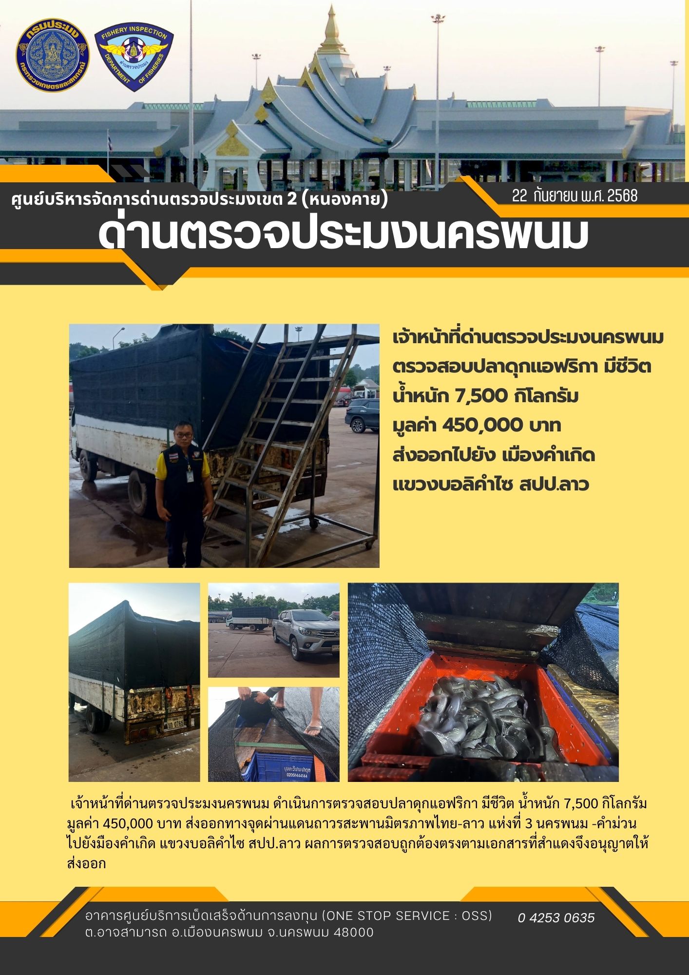 ข่าวกิจกรรมการดำเนินงาน : วันที่ 21 กันยายน 2568 เจ้าหน้าที่ด่านตรวจประมงนครพนม ตรวจสอบปลาดุกแอฟริกา มีชีวิต น้ำหนัก 7,500 กิโลกรัม  มูลค่า 450,000 บาท  ส่งออกไปยัง เมืองคำเกิด  แขวงบอลิคำไซ สปป.ลาว