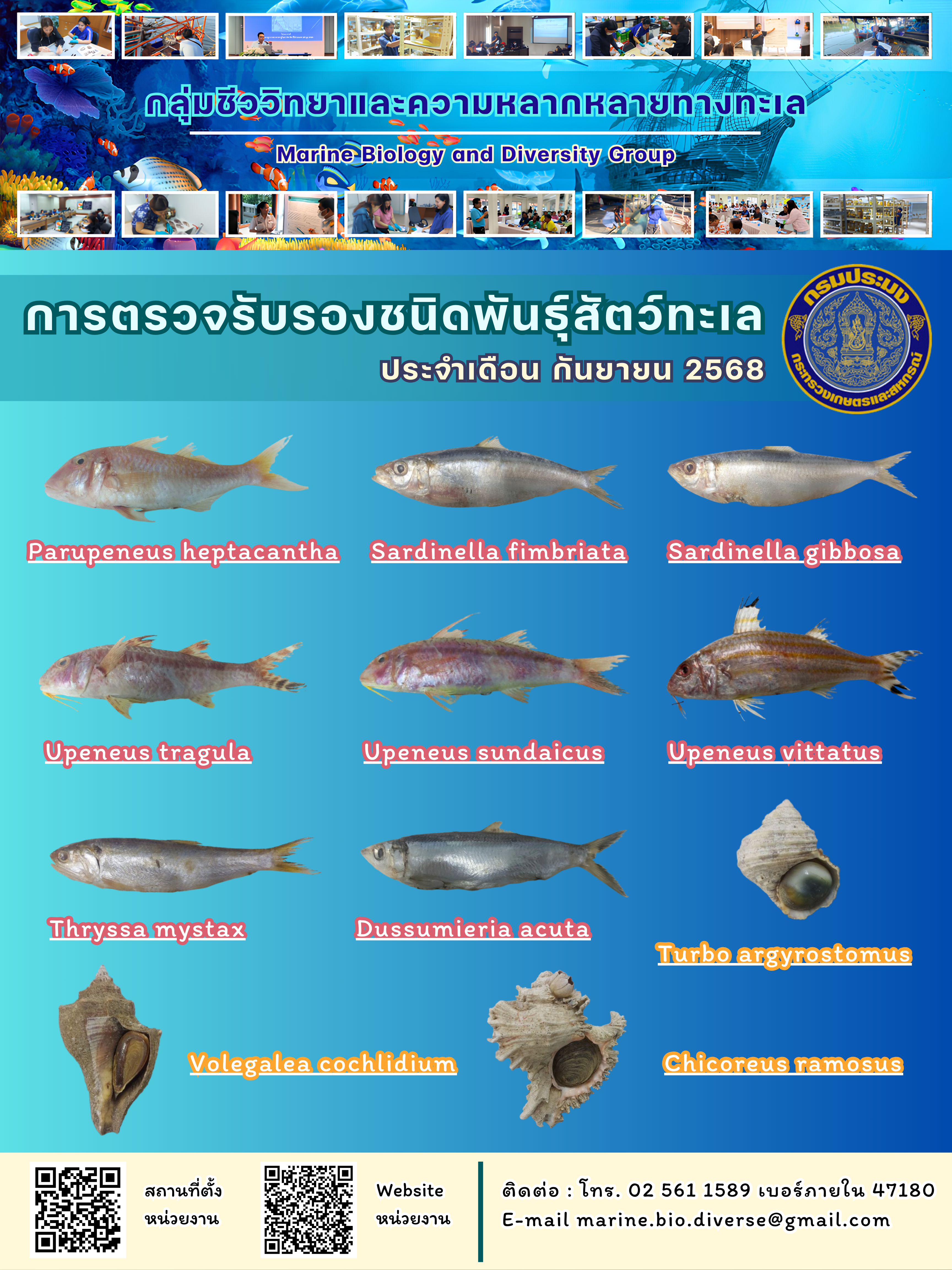 สรุปข้อมูลตรวจรับรองชนิดพันธุ์สัตว์ทะเล ประจำปี 2568 เดือนกันยายน..คลิก