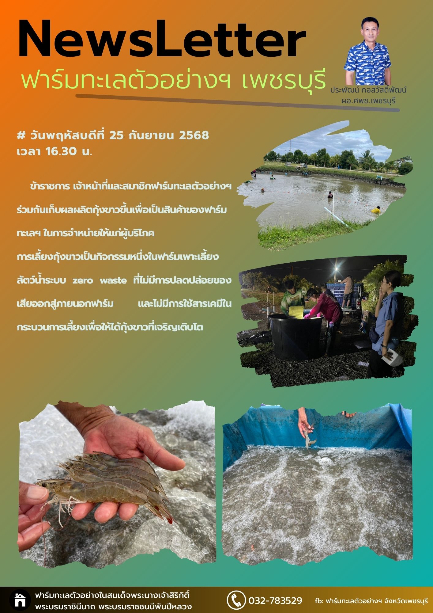 เก็บเกี่ยวผลผลิตกุ้งขาว
