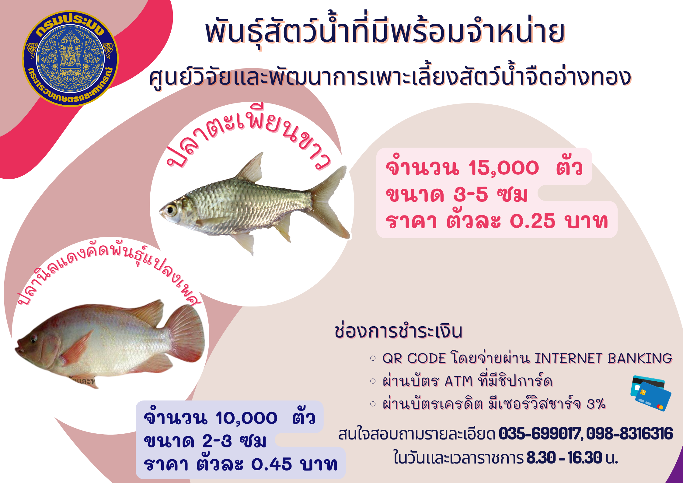 พันธุ์สัตว์น้ำที่มีพร้อมจำหน่าย..คลิก