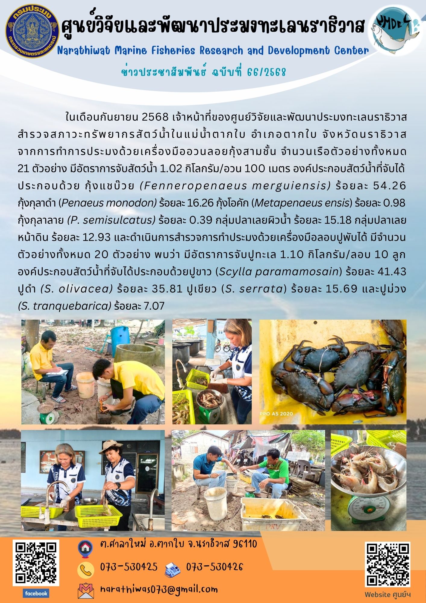 ในเดือนกันยายน 2568 เจ้าหน้าที่ของศูนย์วิจัยและพัฒนาประมงทะเลนราธิวาส สำรวจสภาวะทรัพยากรสัตว์น้ำในแม่น้ำตากใบ อำเภอตากใบ จังหวัดนราธิวาส