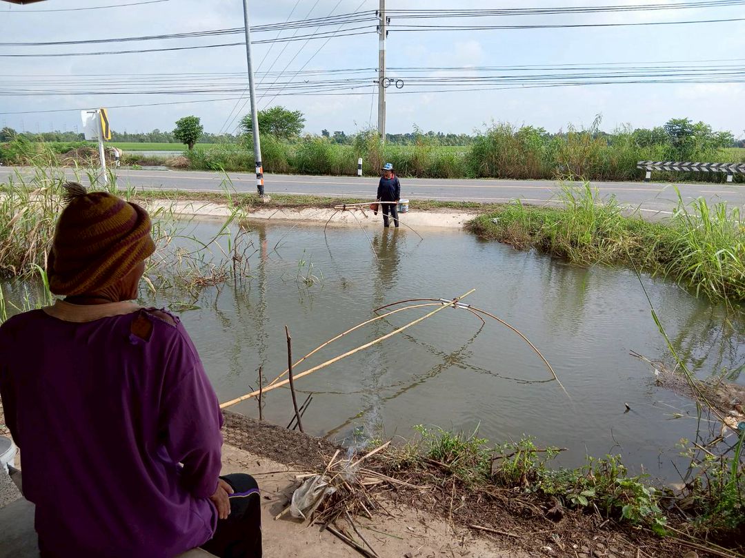 ประมงอำเภอท่าตะโก ลงพื้นที่ตรวจเยี่ยมเกษตรกรผู้เพาะเลี้ยงสัตว์น้ำ เพื่อติดตามและเฝ้าระวังสถานการอุทกภัย และตรวจเยี่ยมผู้ทำการประมง..คลิก