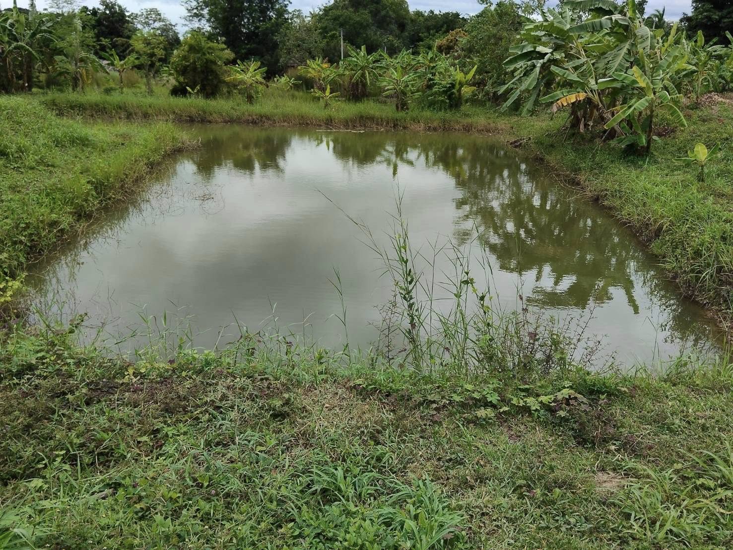 ร่วมคัดเลือกเกษตรกร พร้อมจัดทำข้อมูลพื้นฐานเกษตรกร ที่มีความพร้อมเพื่อเข้าร่วมโครงการส่งเสริมการเลี้ยงปลาในหมู่บ้านตามแนวชายแดนในพระราชดำริจังหวัดราชบุรี ประจำปีงบประมาณ 2569..คลิก