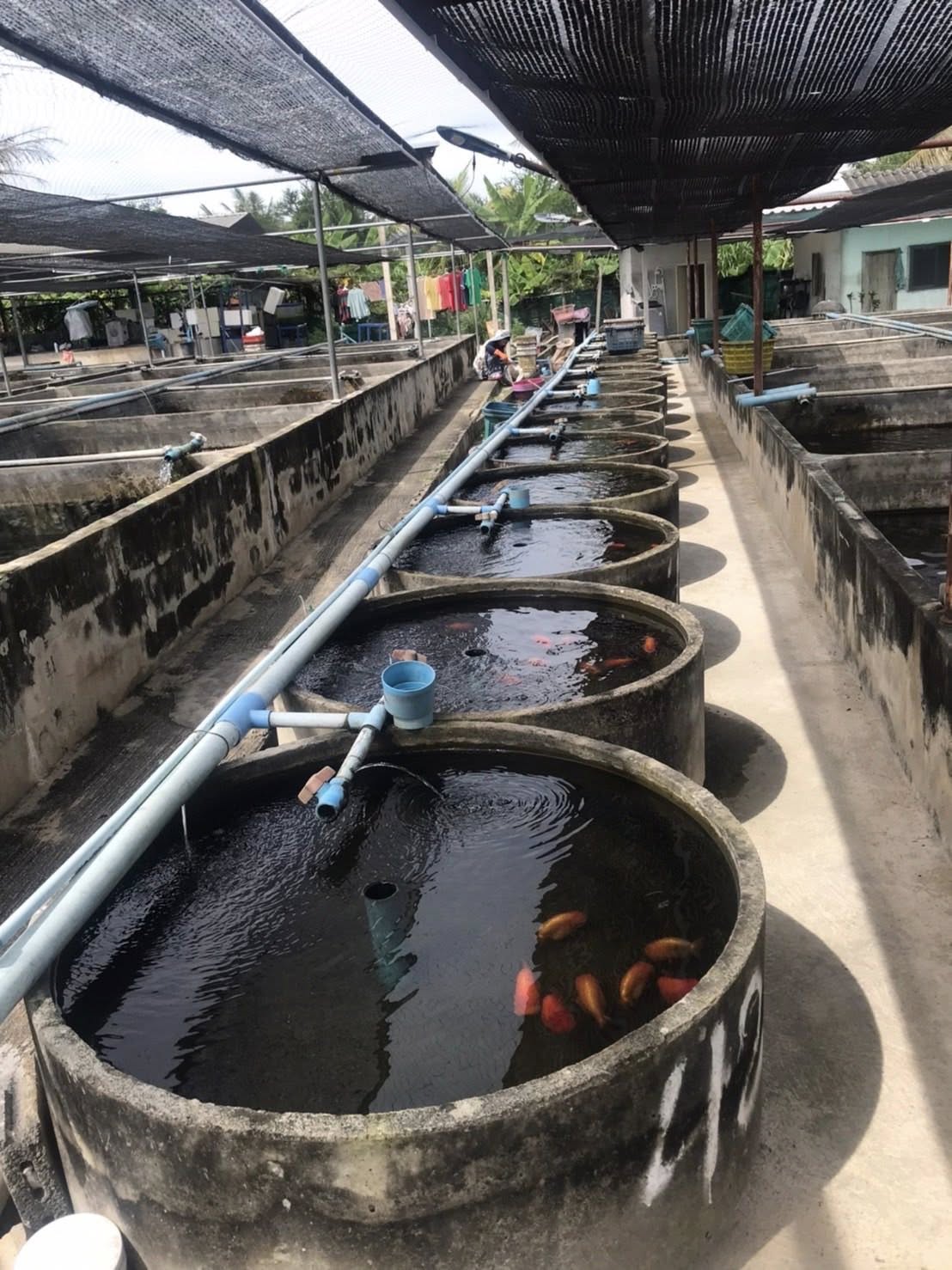 ลงพื้นที่รับคำขอขึ้นทะเบียนเกษตรกรผู้เพาะเลี้ยงสัตว์น้ำ