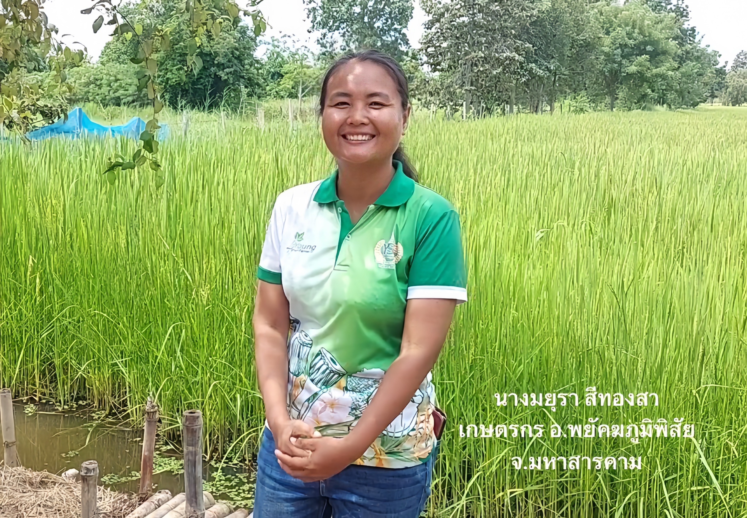 รูป ประกอบบทความ5