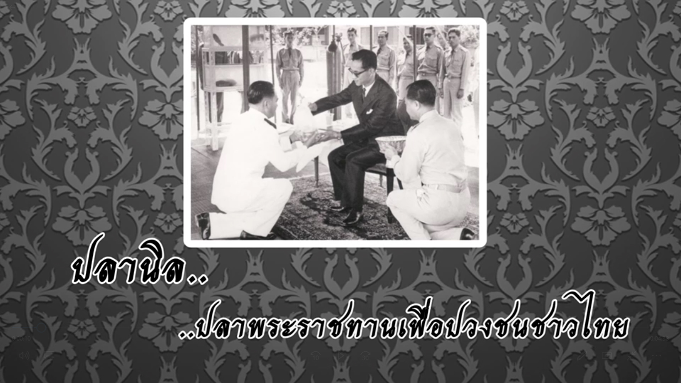 พระราชกรณียกิจพระบาทสมเด็จพระเจ้าอยู่หัว  สมเด็จพระนางเจ้าฯ พระบรมราชินีและพระบรมวงศานุวงค์