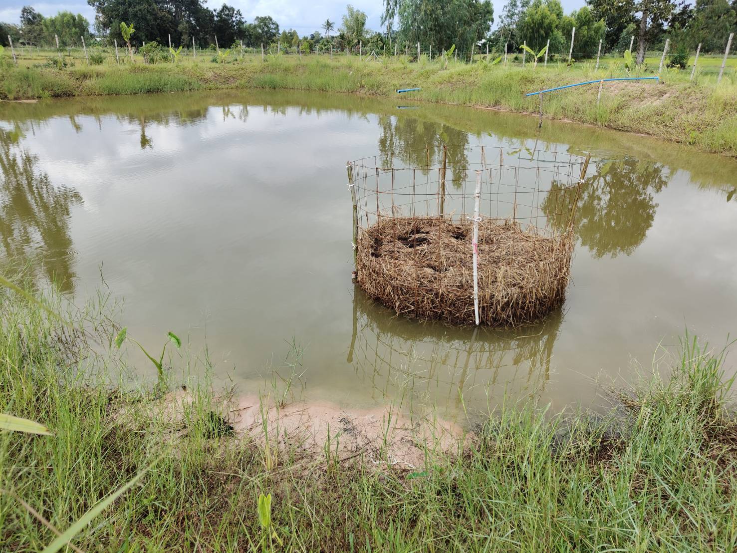 ลงพื้นที่ติดตามเกษตรกรที่ได้รับการถ่ายทอดเทคโนโลยีด้านการประมง